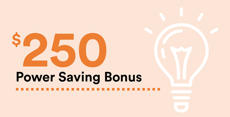 $250 POWER SAVING BONUS AVAILABLE TO ALL VICTORIAN HOUSEHOLDS FROM JULY 1 Main Image